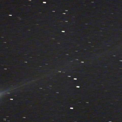 C/2025 R3　パンスターズ彗星　2026.04.03