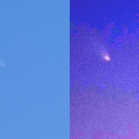 マグレですが撮れました。