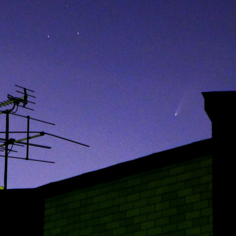 ネオワイズ彗星