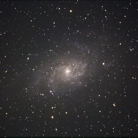 M33