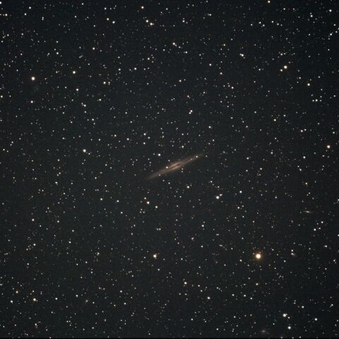 NGC891