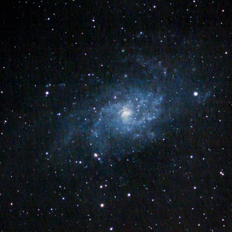 M33
