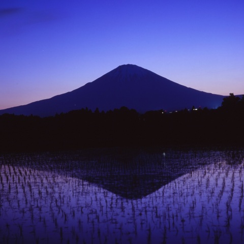 水田に映る月と富士