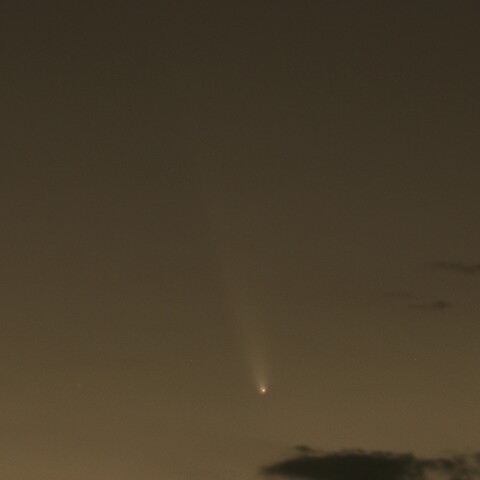 紫金山・アトラス彗星（C/2023 A3）