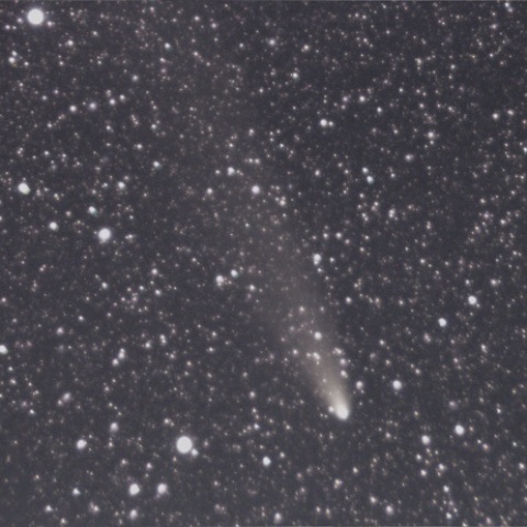 紫金山・アトラス彗星（C/2023 A3）