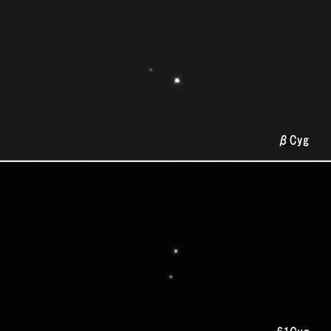 はくちょう座の重星2態