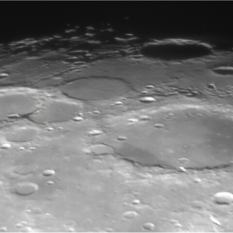 ワルゲンティンの切り株