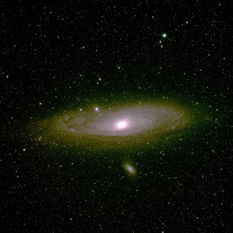 M31