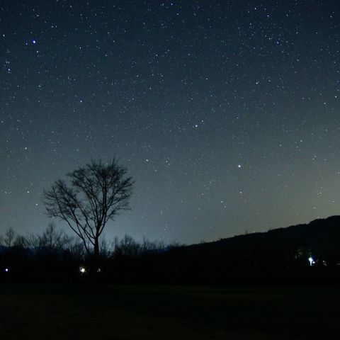 沈む冬の星座たち