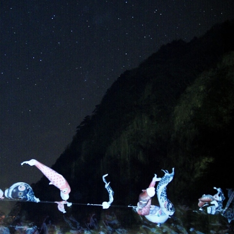 こいのぼり　はためく