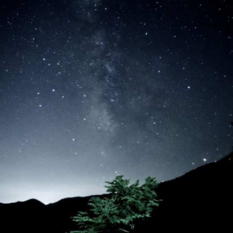 山道からの星空