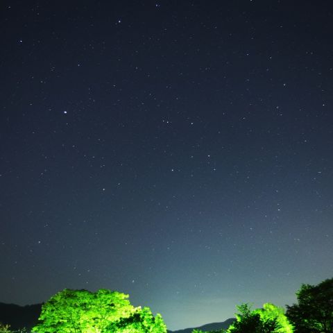 淡い光を放つ春の星たち