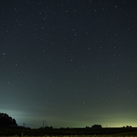 向日葵の見上げる星空