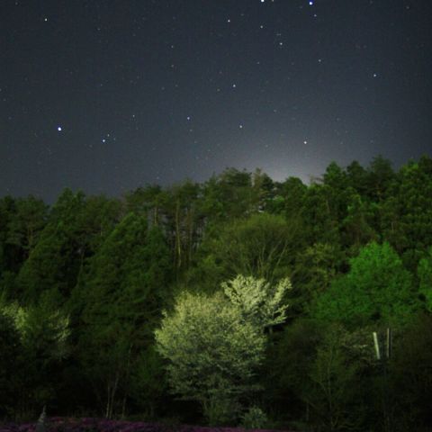 春　しずむふたご座