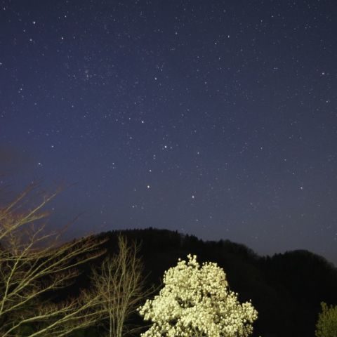 春のカシオペア