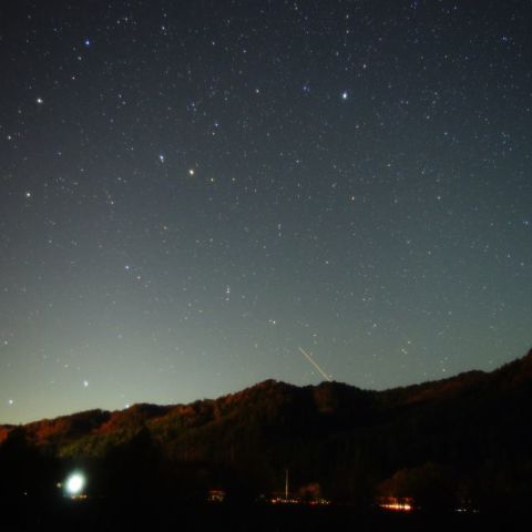 秋の山を見おろす子ぐま
