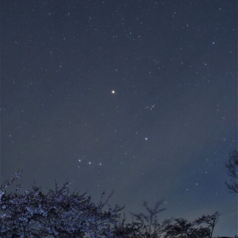 主役のうつろい