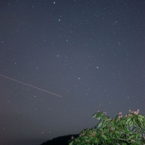 ネムノキと北斗七星