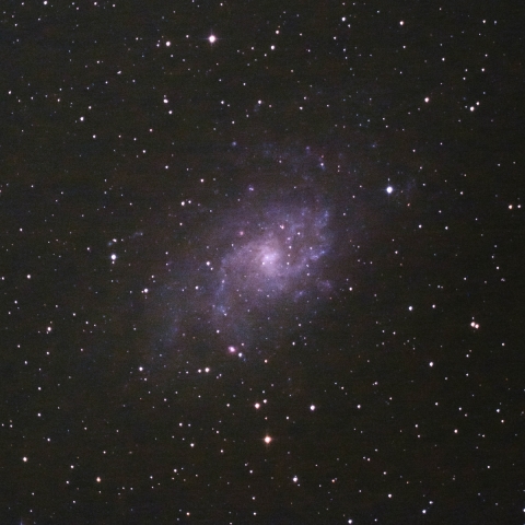 M33
