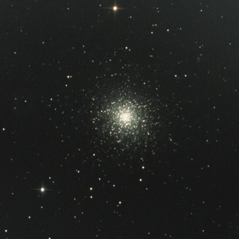 M13