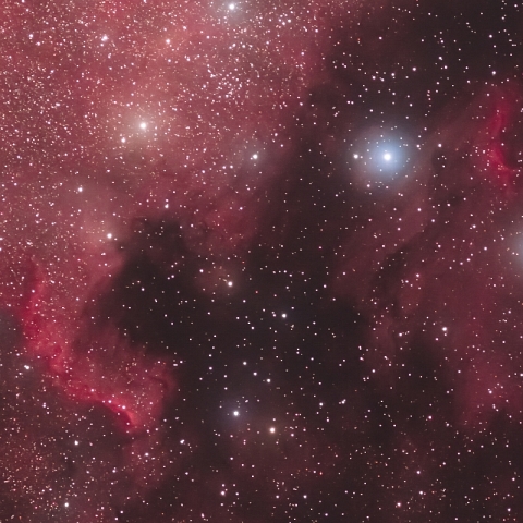 北アメリカ星雲とペリカン星雲