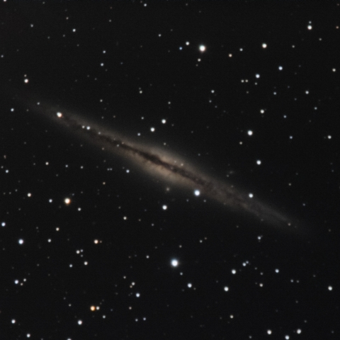 NGC891