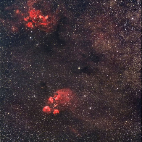 出目金星雲＆彼岸花星雲