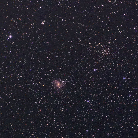 超新星2017eaw　ケフェウス座銀河NGC6946