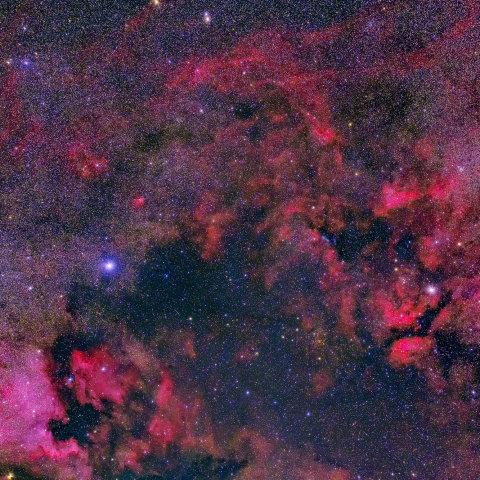 はくちょう座　北アメリカ星雲～サドル付近