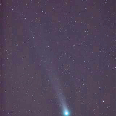 ラブジョイ彗星