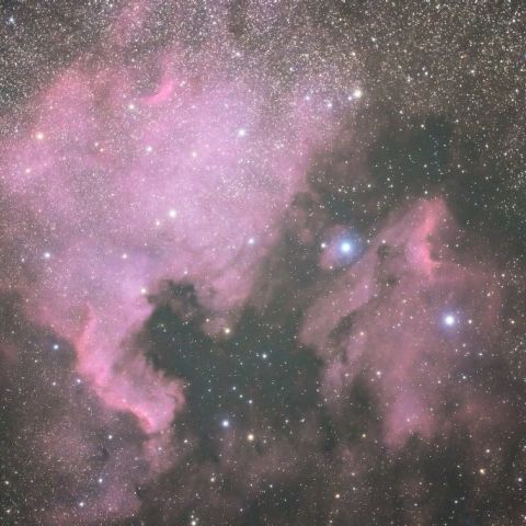 北アメリカ星雲、ペリカン星雲