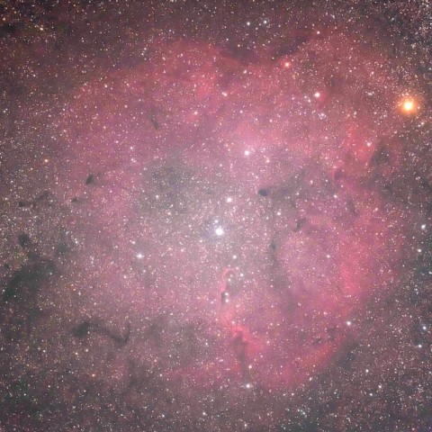 ケフェウス座　IC1396