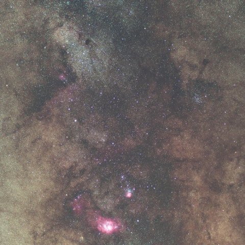 バンビの横顔からM8・M20