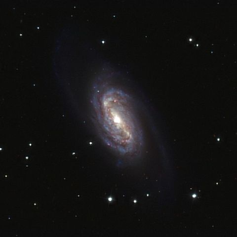 NGC2903