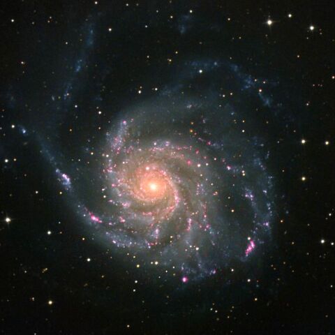 M101