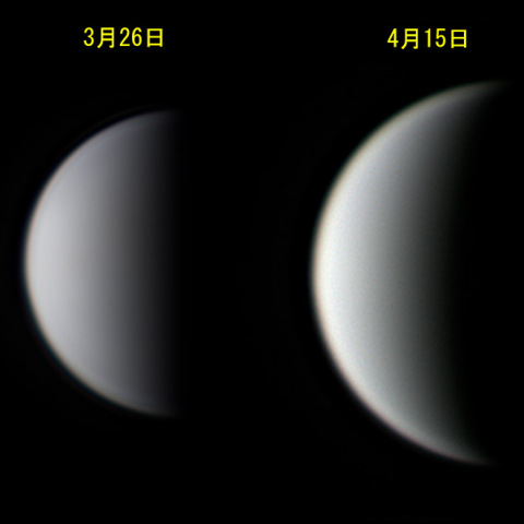 金星の位相変化(4月15日)