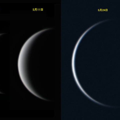 金星の位相変化(5月29日)