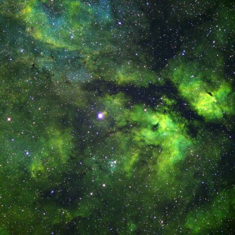 はくちょう座サドル付近(SAO)