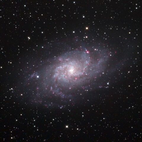 M33
