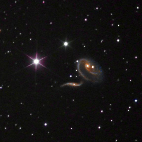 Arp273