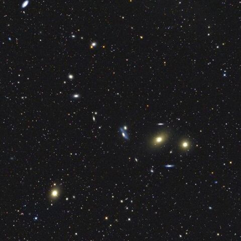 マルカリアンチェーン