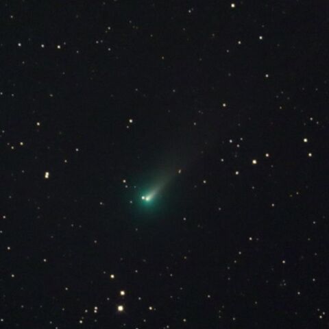 11/15 レナード彗星(C/2021A1)