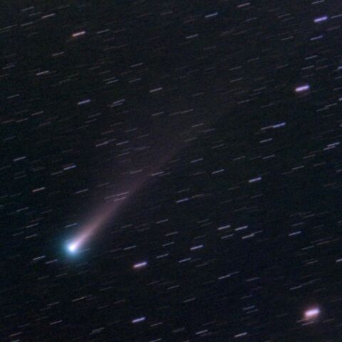 11/29 レナード彗星(C/2021 A1)