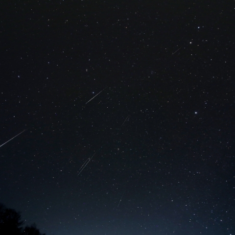 12/14 ふたご座流星群(南天)