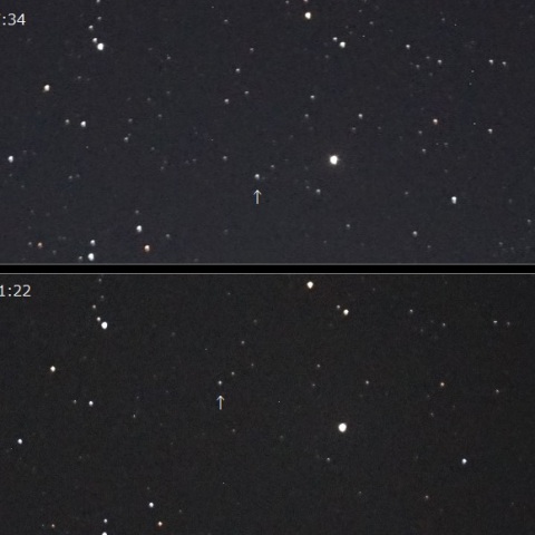 498 Tokio(東京)の6日間の動き