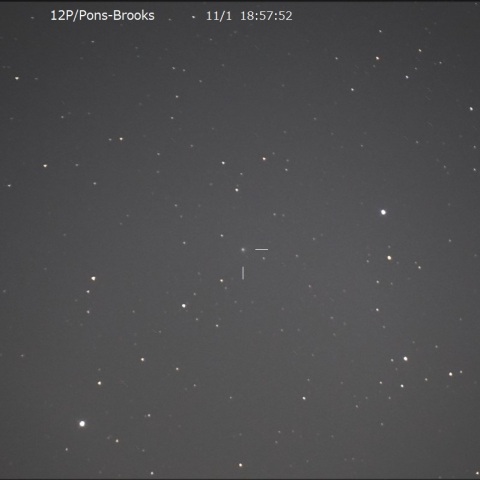11月1日の 12P/Pons-Brooks