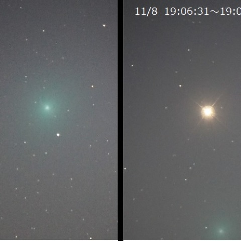 11月8日「C/2023 H2 Lemmon」の50分間の動き