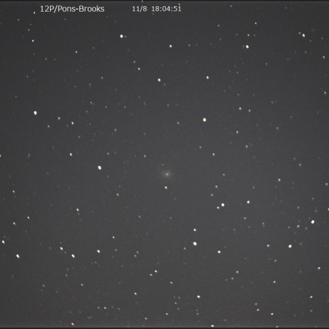 11月8日「12P/Pons-Brooks」