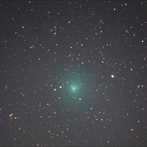 11月8日「C/2023 H2 (Lemmon)」