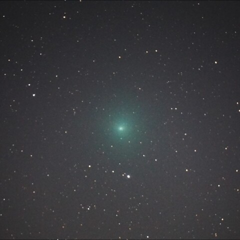 11月14日「C/2023 H2 (Lemmon)」